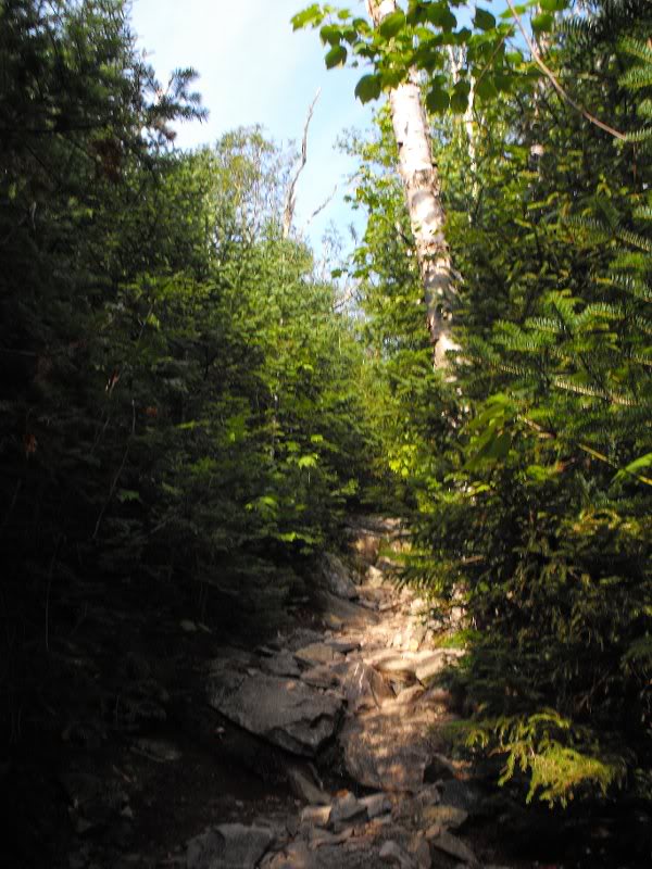 Mt Carrigan Hike (07)