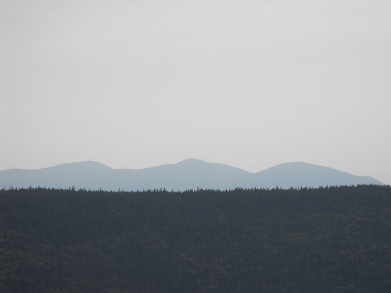 Mt Carrigan Hike (09)