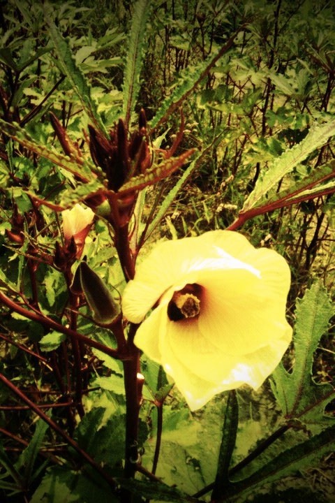 FxCam_128189916 4991