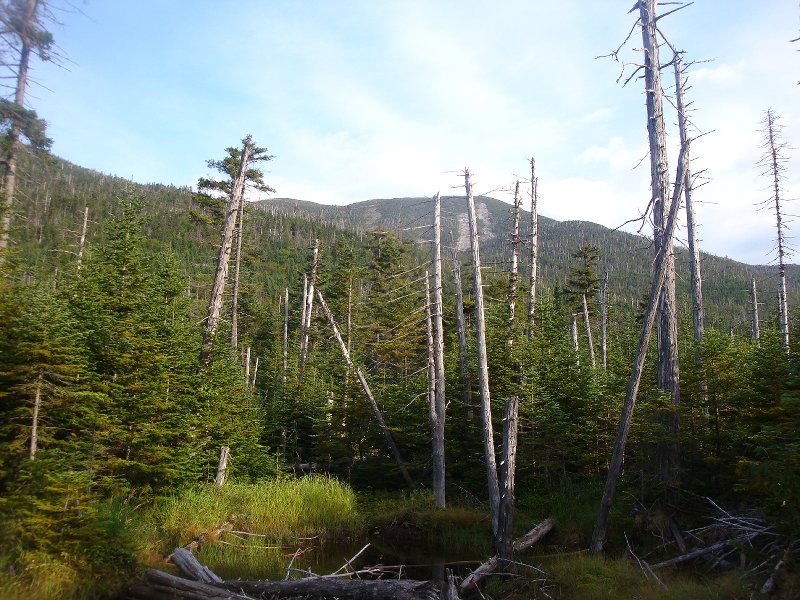 Colden from Lk Arnold trail