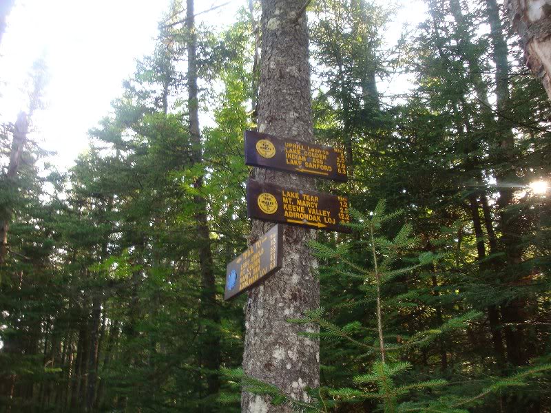 Junction with Feldspar Brook trail