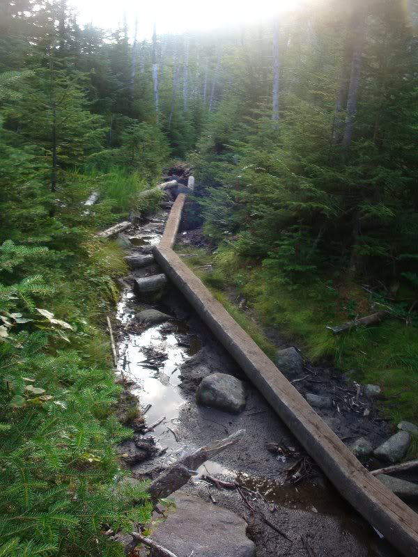 Near the Junction with the Mt Colden trail