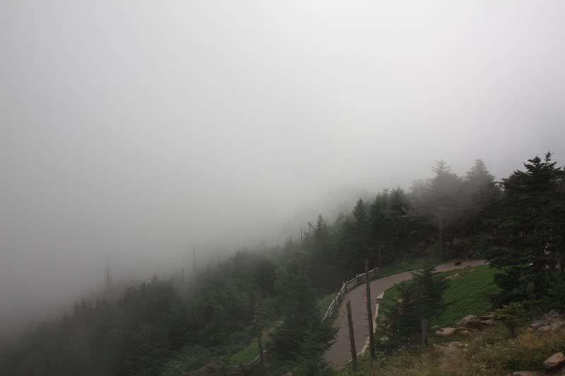 Foggy view from Mount Mitchell