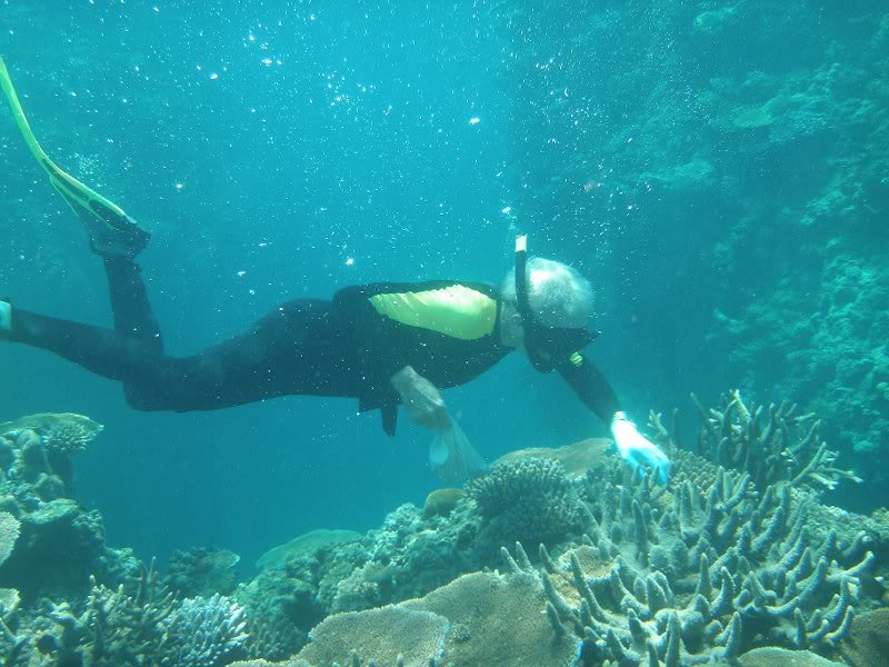 Snorkeling Rakiraki