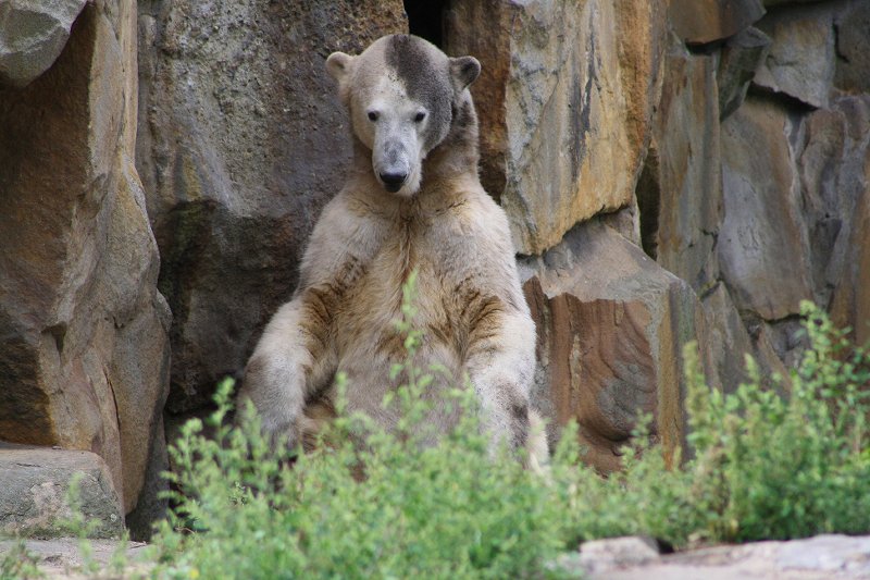 Gehe mal auf Tauchstation.