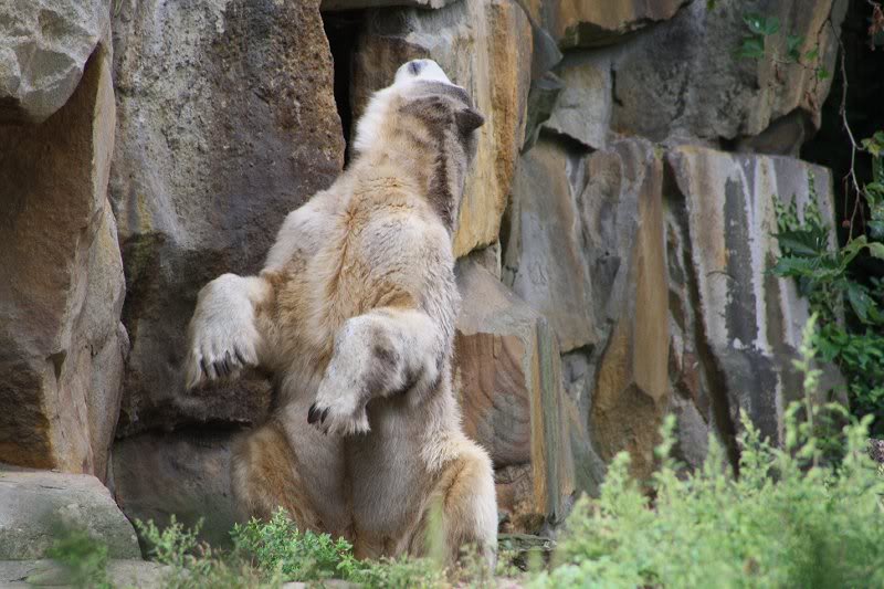 Ist mir etwas peinlich.