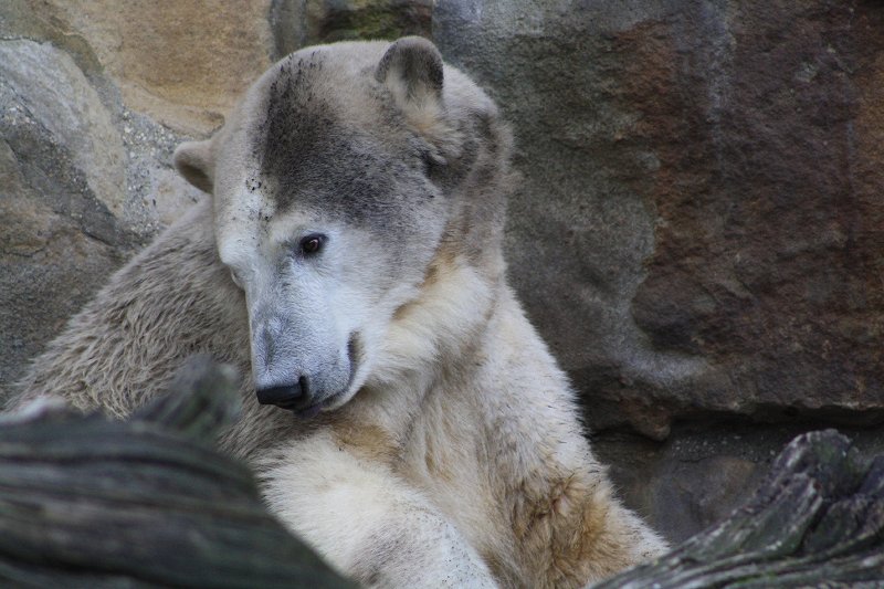 R��ckt etwa ein besonderer Tag heran?