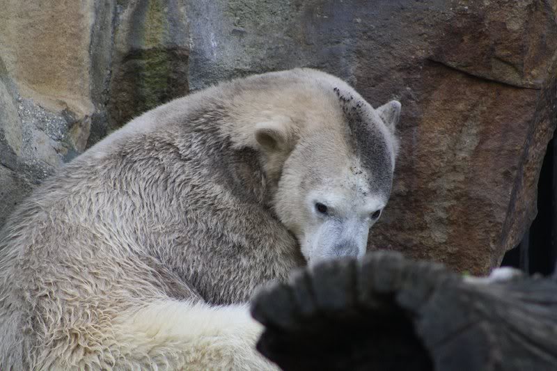 Sollte da etwas im Busche sein?