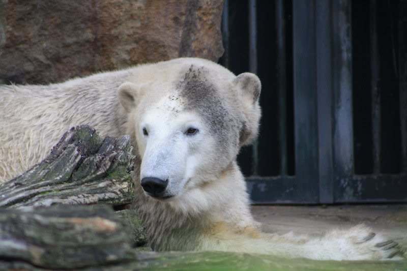 Und jetzt fotografieren sie sich gegenseitig!?
