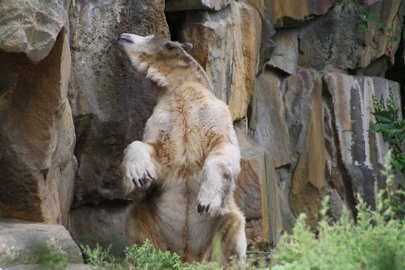 Und mein Name f��llt st��ndig.