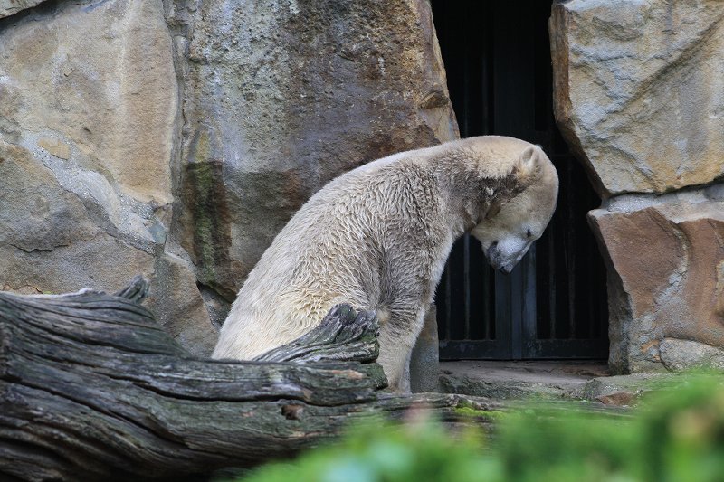 Wie erhalte ich die Aufmerksamkeit zur��ck?