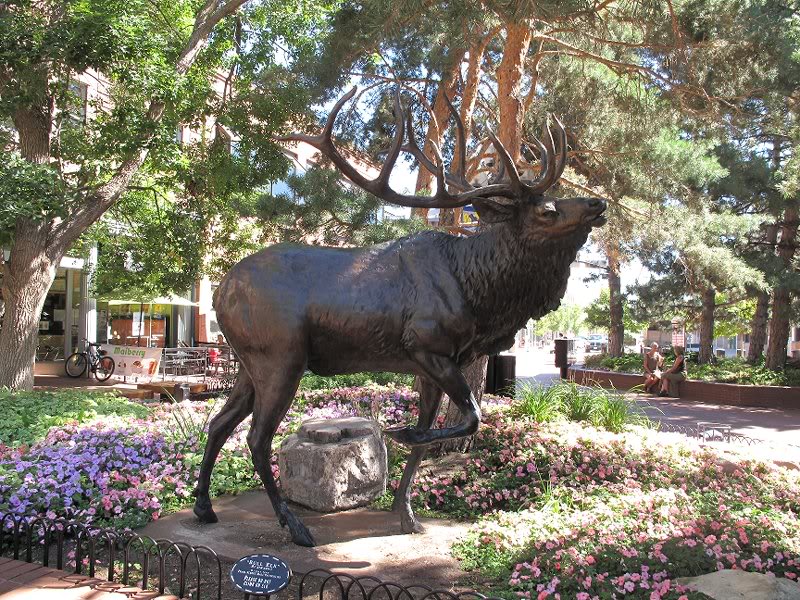 Bronze elk in Boulder