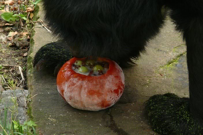 Aha! Yummy filling!!