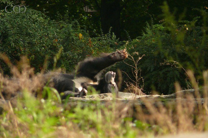 Juergen all relaxed... :)