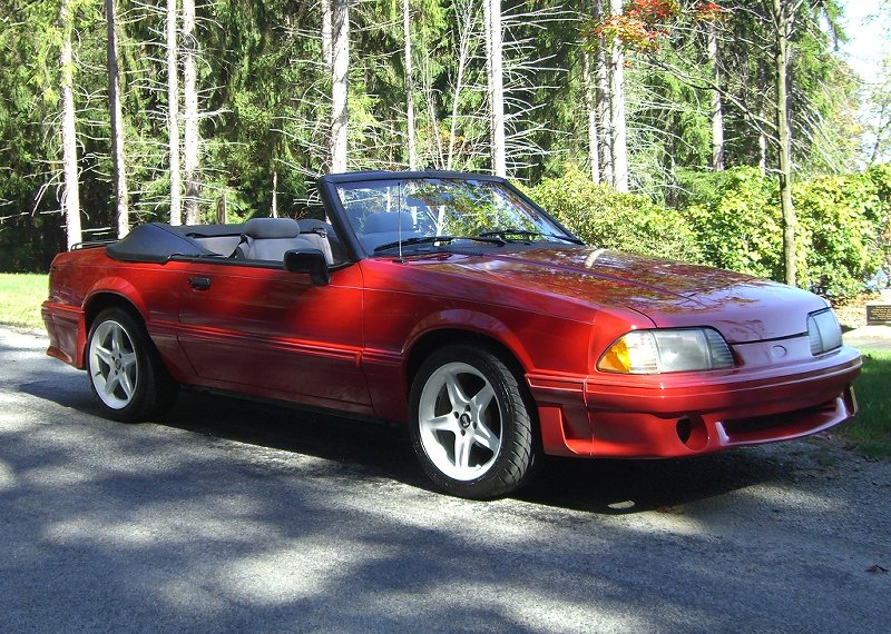 Traci's Vert after detail 001