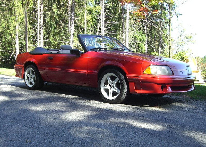 Traci's Vert after detail 002