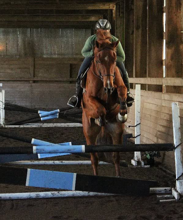 Charley 4 to 1 10-31-10