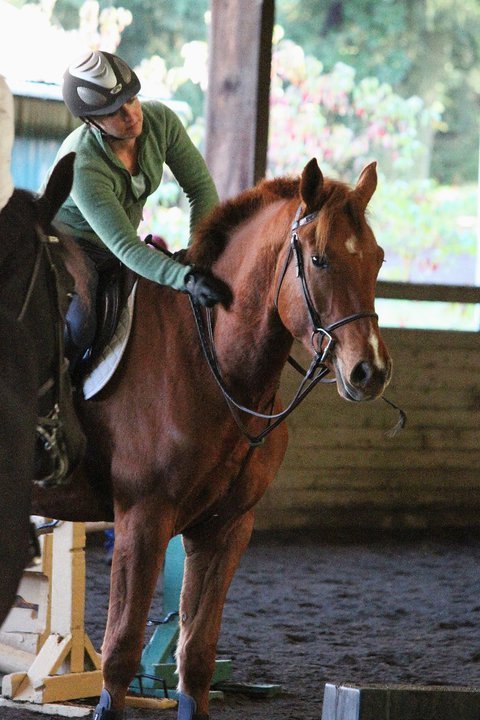 Charley good boy 10-31-10