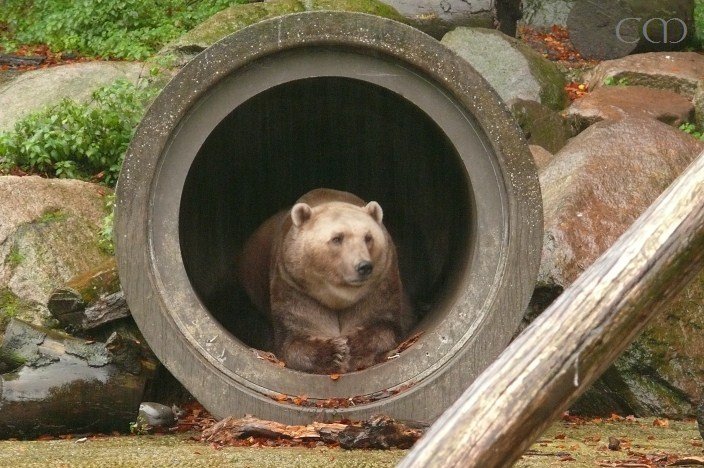 Nice you came for a visit...