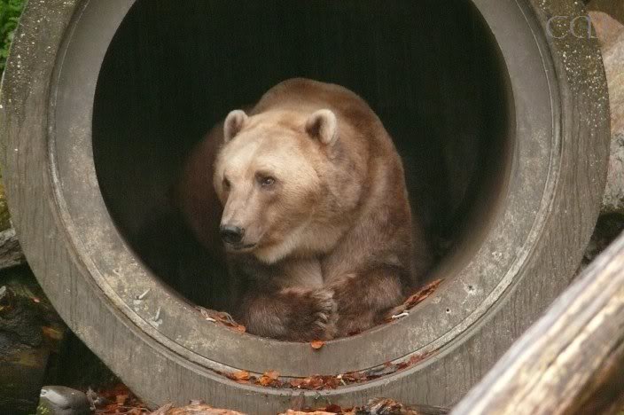 ...but you surely understand Tapps will stay here and d...