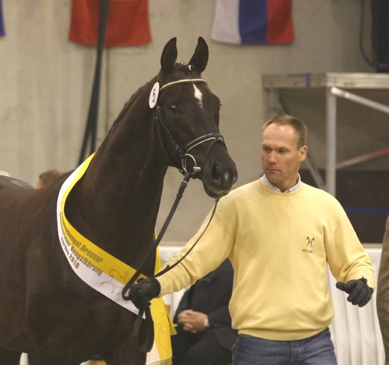 Brentano II - Donnerhall 1a