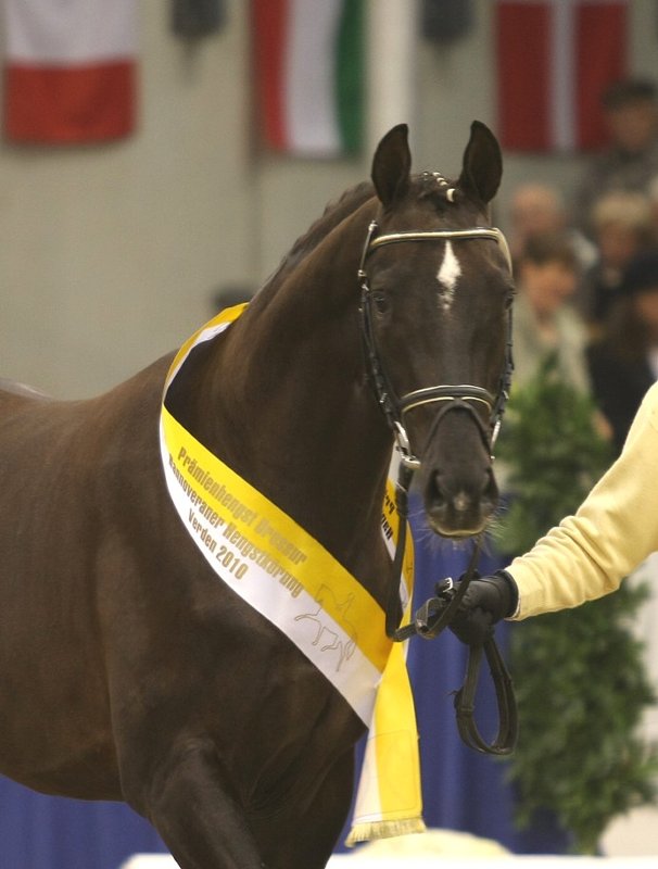 Brentano II - Donnerhall 2a