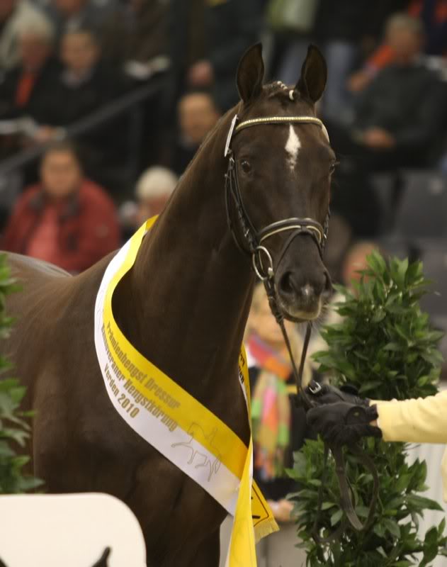 Brentano II - Donnerhall 3a