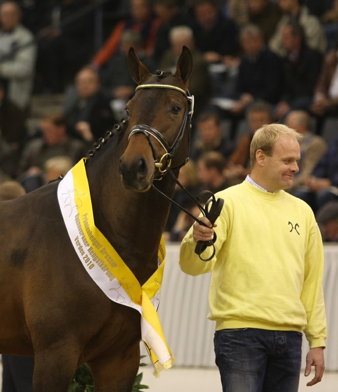 Chequille - Landclassic 1a