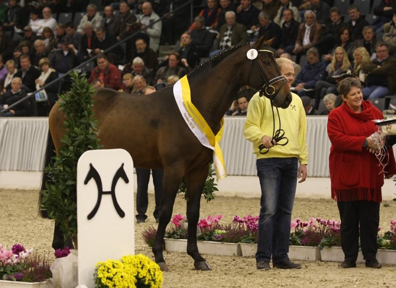 Chequille - Landclassic 3a