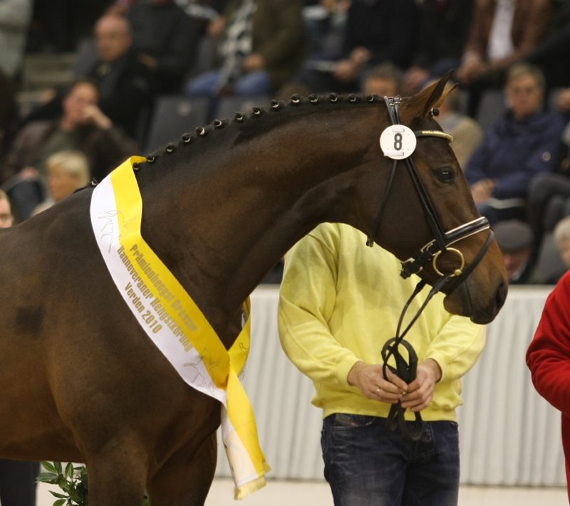 Chequille - Landclassic 4a