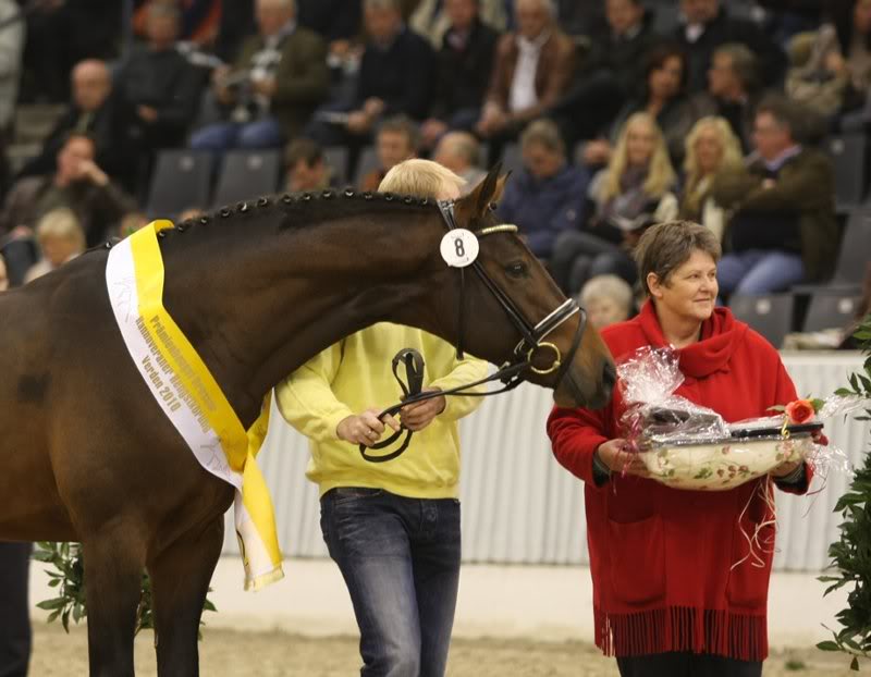 Chequille - Landclassic 5a