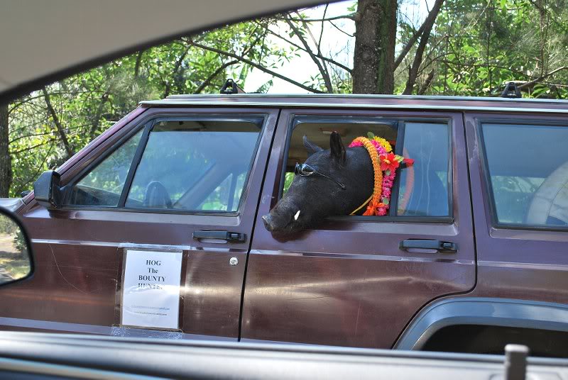 Drivers were friendly but there was at least 1 Road Hog