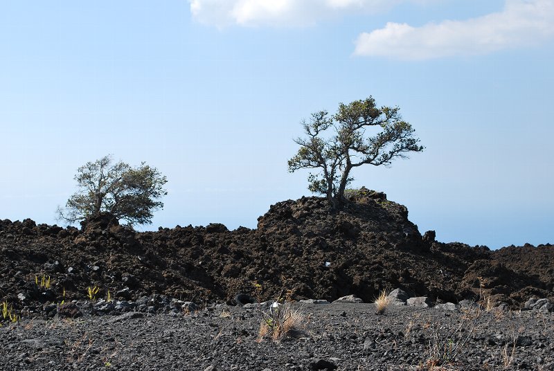 Old Lava flow South end of the Big Island
