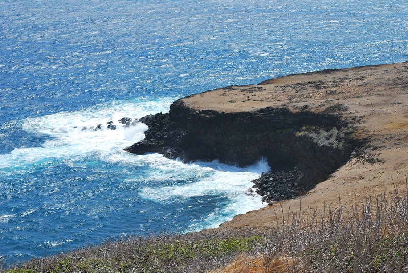 Whittington Park area