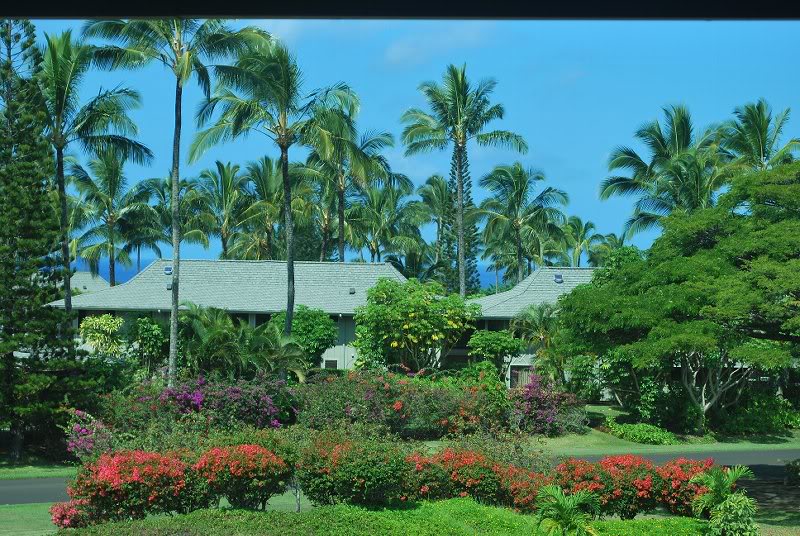 View from our condo at The Cliffs Princeville Kauai Haw...