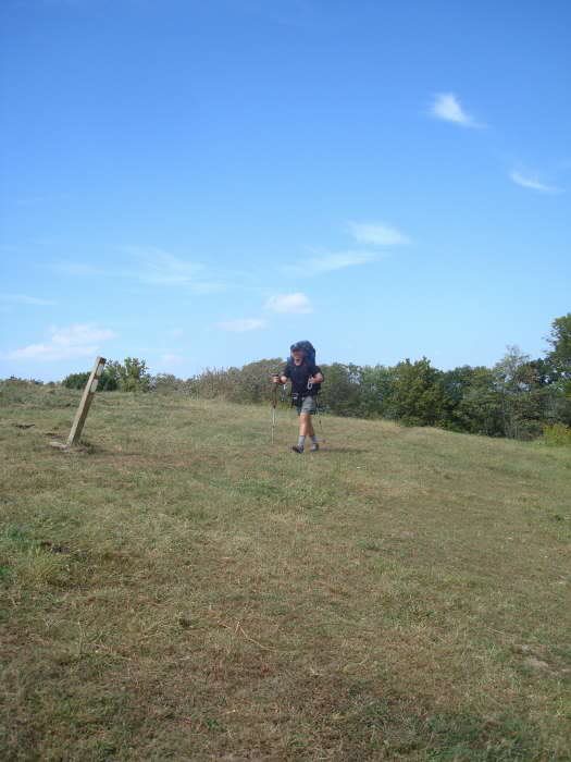 AT going through a cow pasture