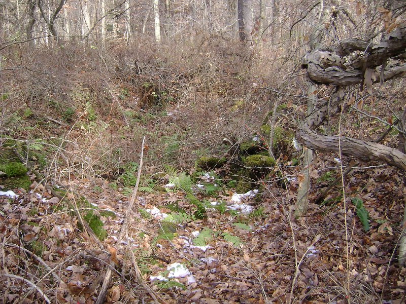 Cellar hole near the field