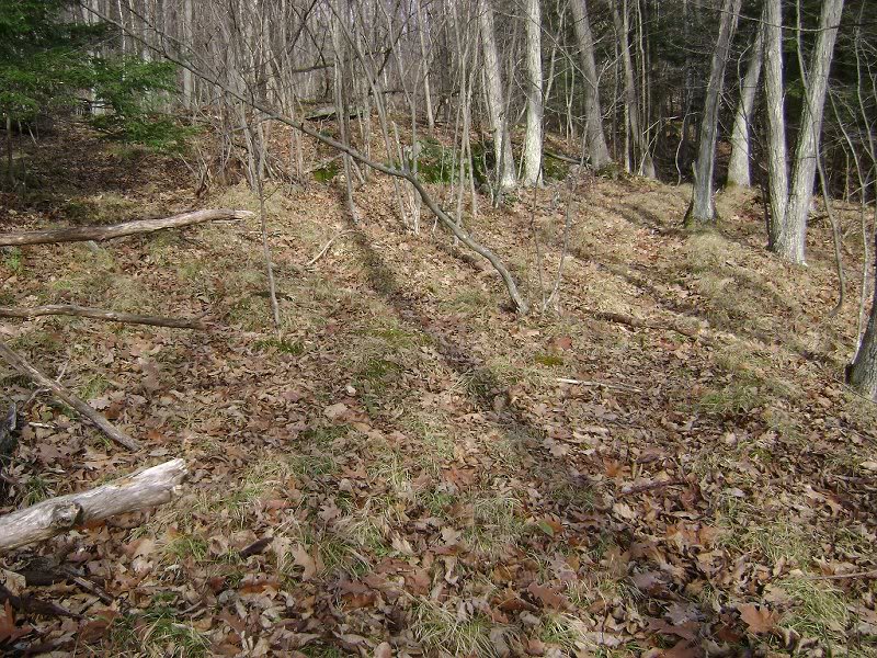 One of many open balds in The Damp going up Mahanna Cob...