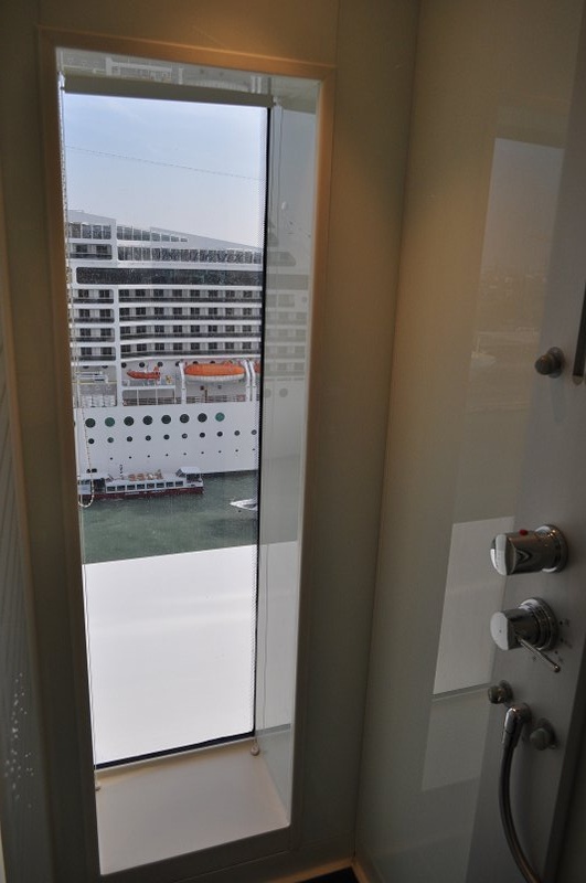 Window in Master Bedroom Shower