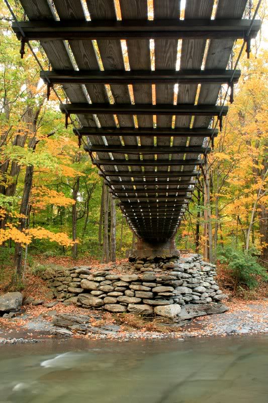 Under the Palenville Swinging Suspension Bridge, built ...