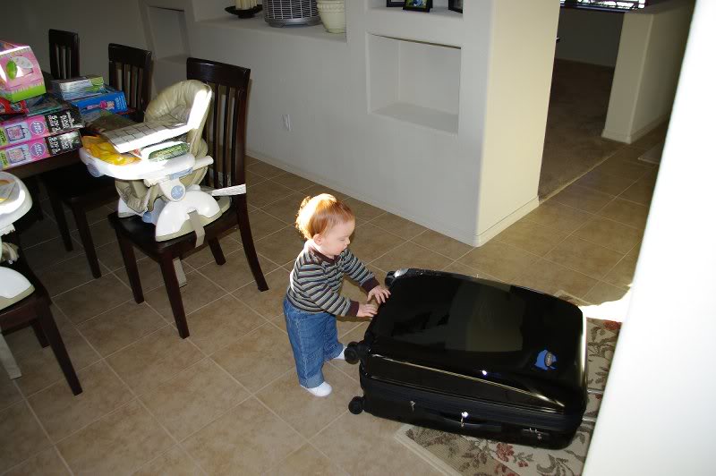 Packed and ready to go!