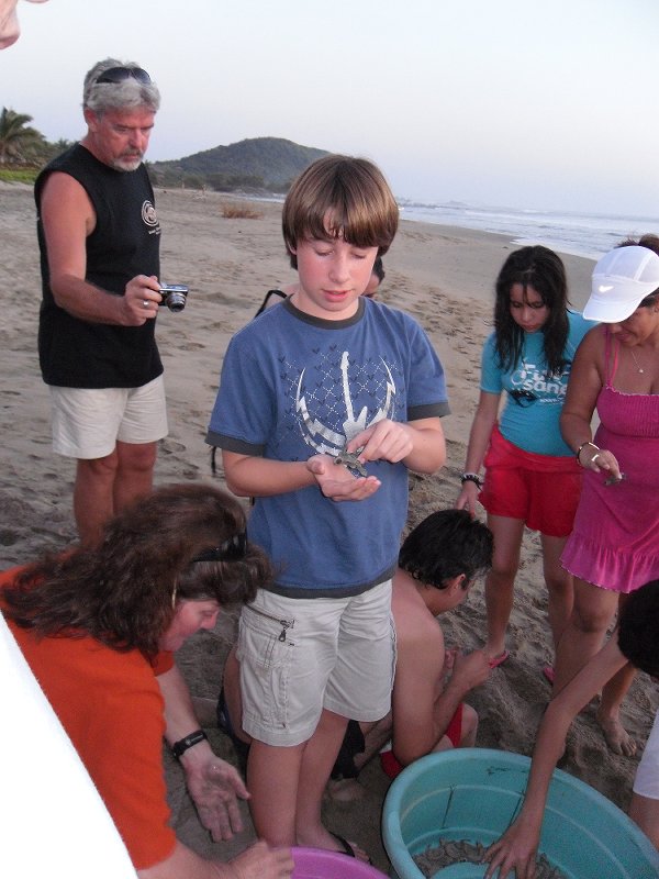 Turtle release at Troncones