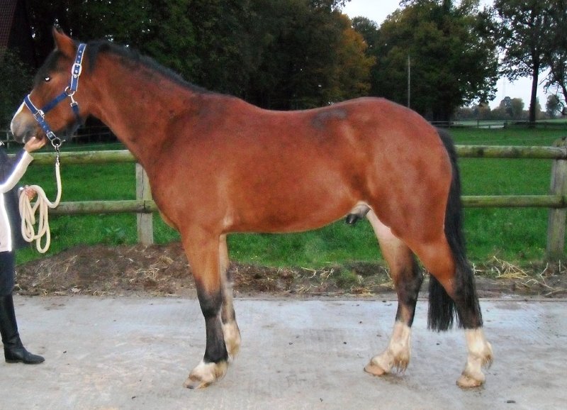 ConfoLinks27100 9zwei