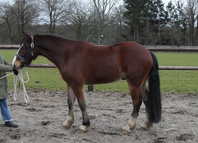 Confoleft260120 11zwei