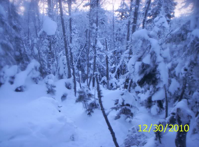 Seymour 12-30-10 winter 005