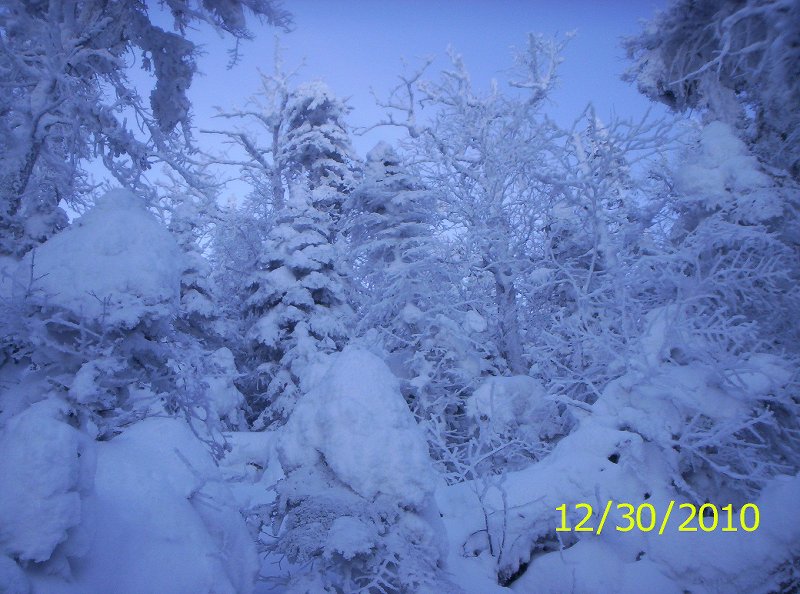 Seymour 12-30-10 winter 007