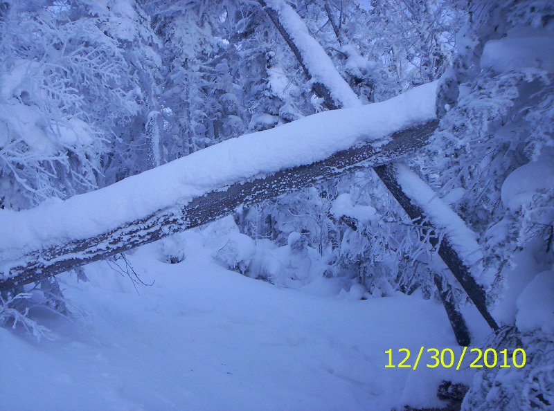 Seymour 12-30-10 winter 008