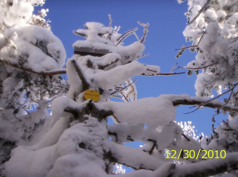 Seymour 12-30-10 winter 010