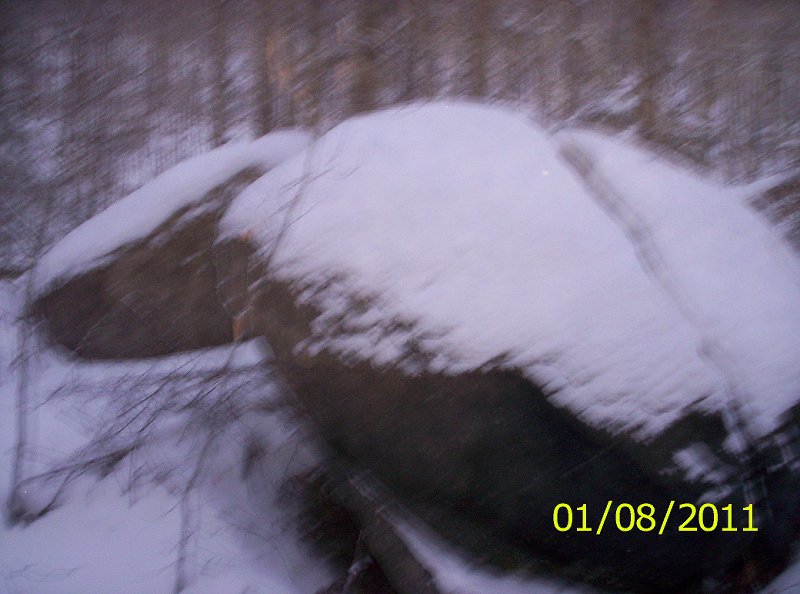 THE SEWARDS 1-8-11 WINTER 002