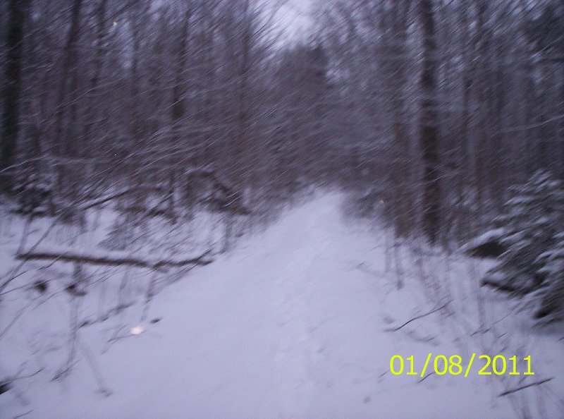 THE SEWARDS 1-8-11 WINTER 003